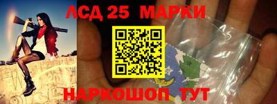 стаф Будённовск