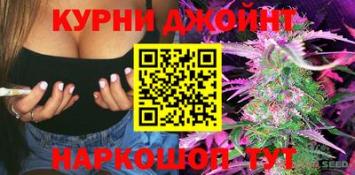 стаф Будённовск