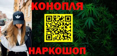 стаф Будённовск