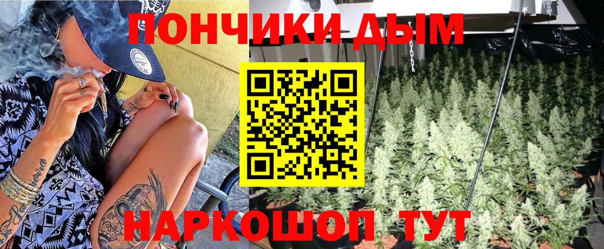 Бошки марихуана семена Мурино